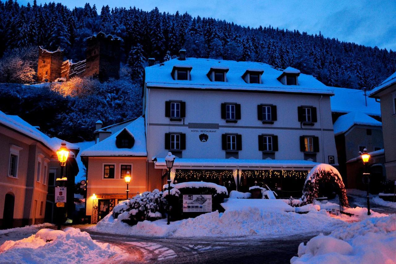 Villa Bucher - Metnitztalerhof Фризах Экстерьер фото